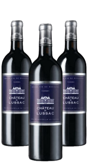 Château de Lussac 2008 – 3 btls