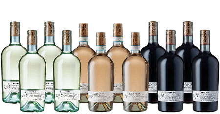 The w/o Collection – 12 bottles